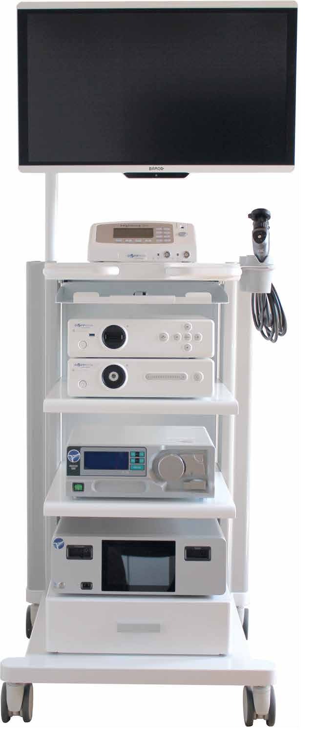Endoscopia uniportal / biportal